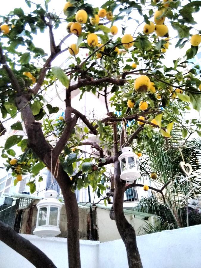 Willkommen In Einem Private Garden Bari Eksteriør billede
