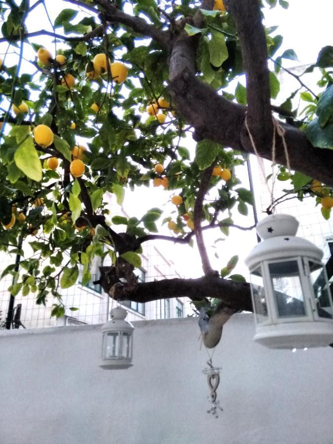 Willkommen In Einem Private Garden Bari Eksteriør billede